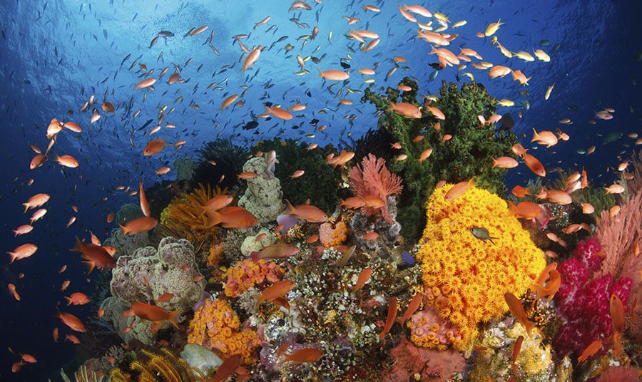 Calling all ocean geeks - Monterey Bay Aquarium Research Institute opens its doors!