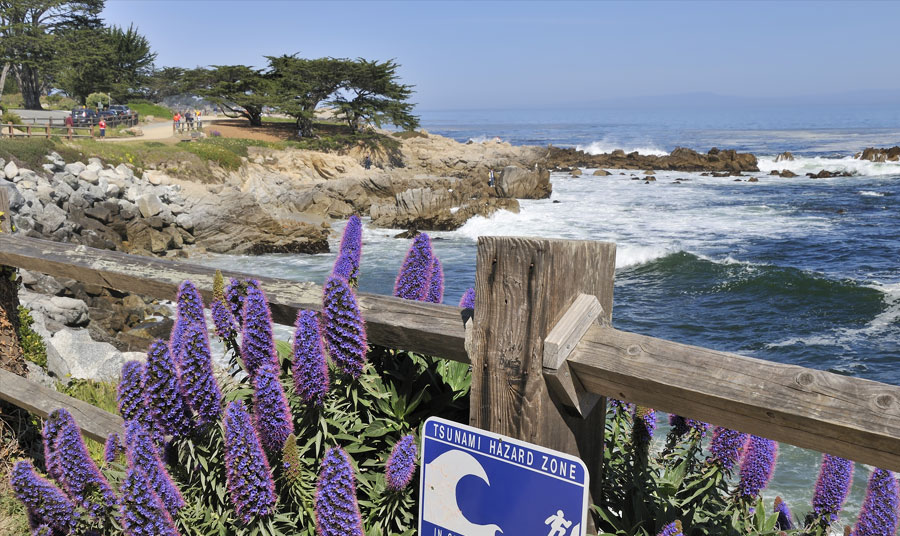 Monterey Path of History Tour