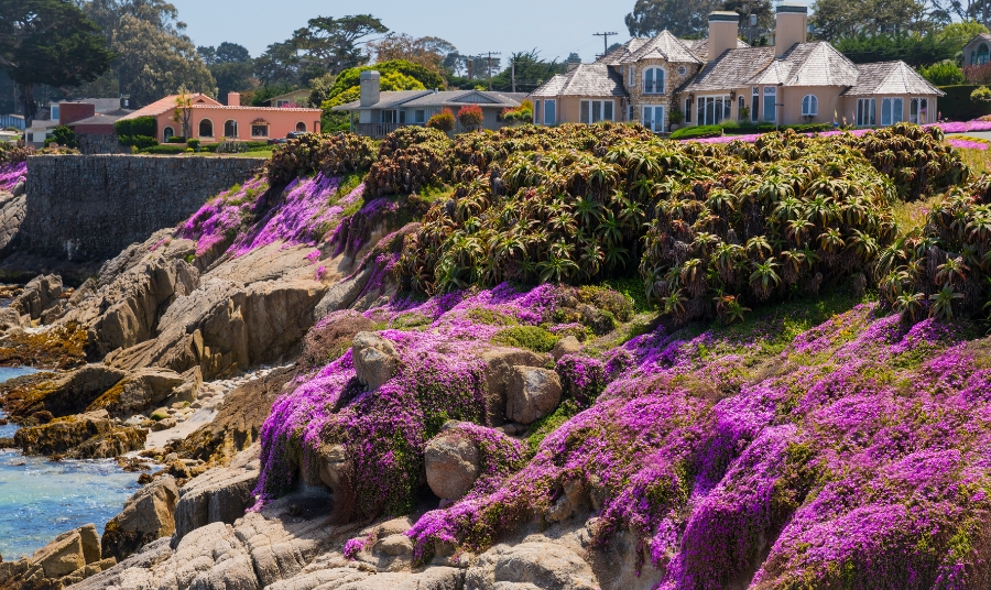Our Favorite Monterey Events for Spring