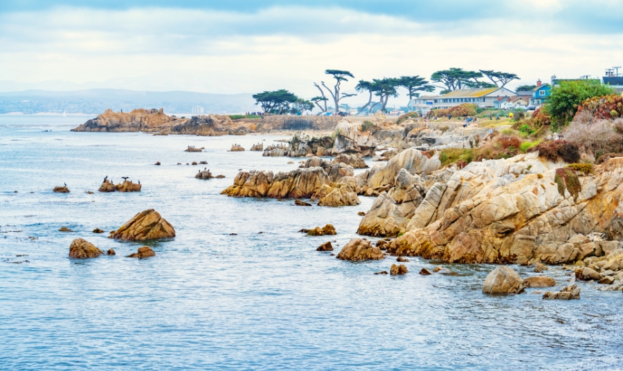 Top 6 Romantic Things to Do in Monterey